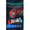 Double Manettes sans fil pour Nintendo Switch avec lumières RVB (noir et or)