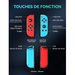Double Manettes sans fil pour Nintendo Switch avec lumières RVB (noir et or)