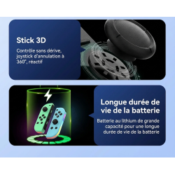 Double Manettes sans fil pour Nintendo Switch avec lumières RVB (noir et or)