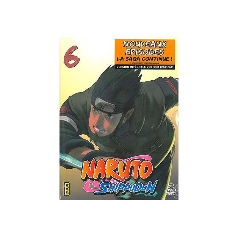 Naruto Shippûden - Coffret N°6 - épisodes 286 à 298 [DVD]