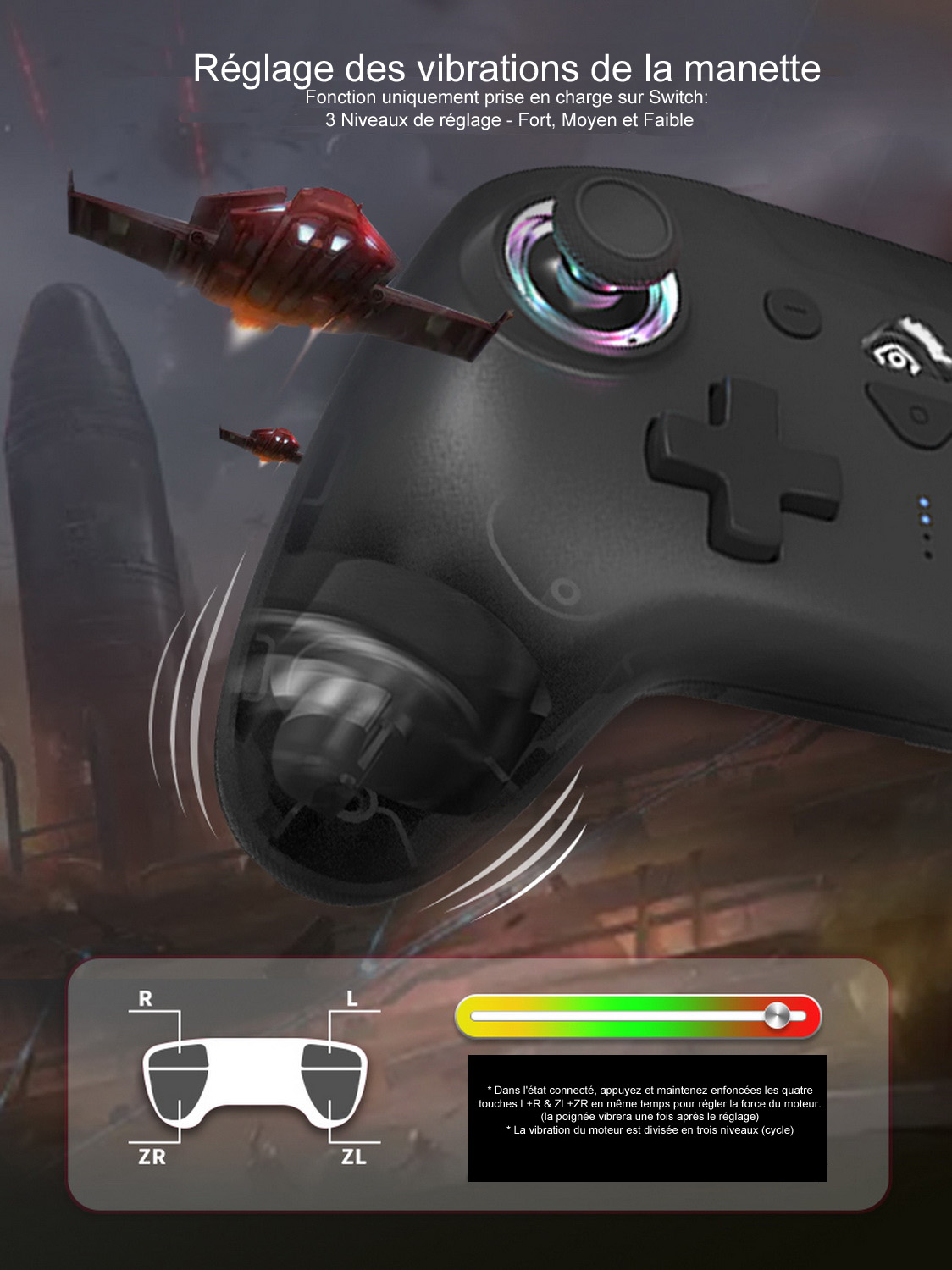 B_Manette Switch_RGB_10f6b0bc7e4_redimensionner.jpg
